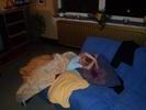 clo speelt