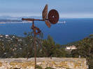 windhaan