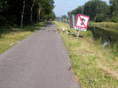 nog eendjes
