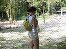 Tine