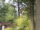 aap speelt christusfiguur