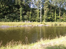 verkoeling zoeken in het kanaal